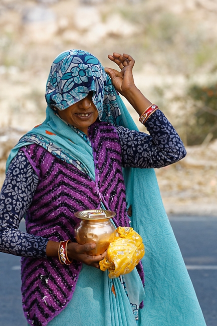 Sur la route d'Orchha-033